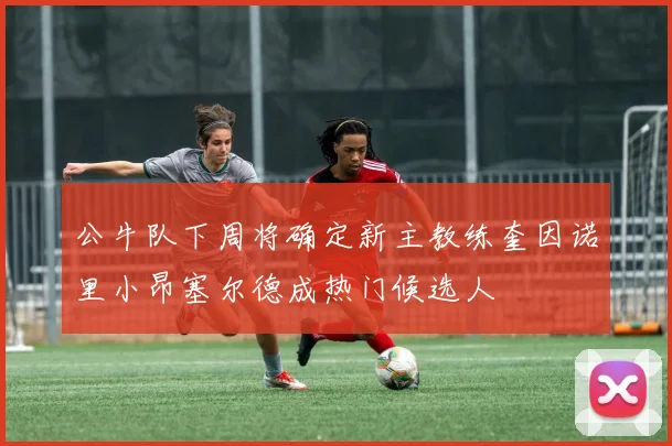 公牛队下周将确定新主教练奎因诺里小昂塞尔德成热门候选人