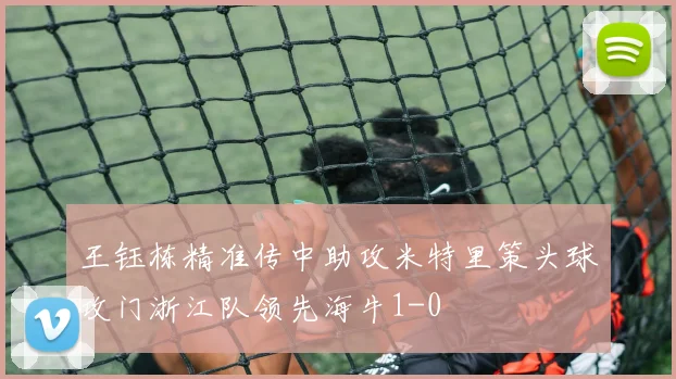 王钰栋精准传中助攻米特里策头球攻门浙江队领先海牛1-0