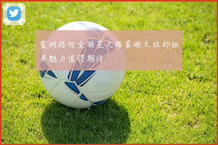 霍姆格伦全明星之路虽逊文班却独具魅力值得期待